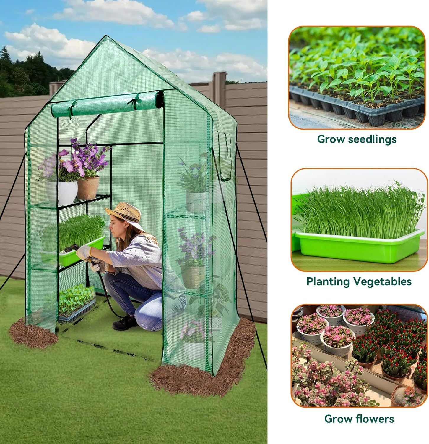 Garden Walk In Greenhouse Planting Suggestions