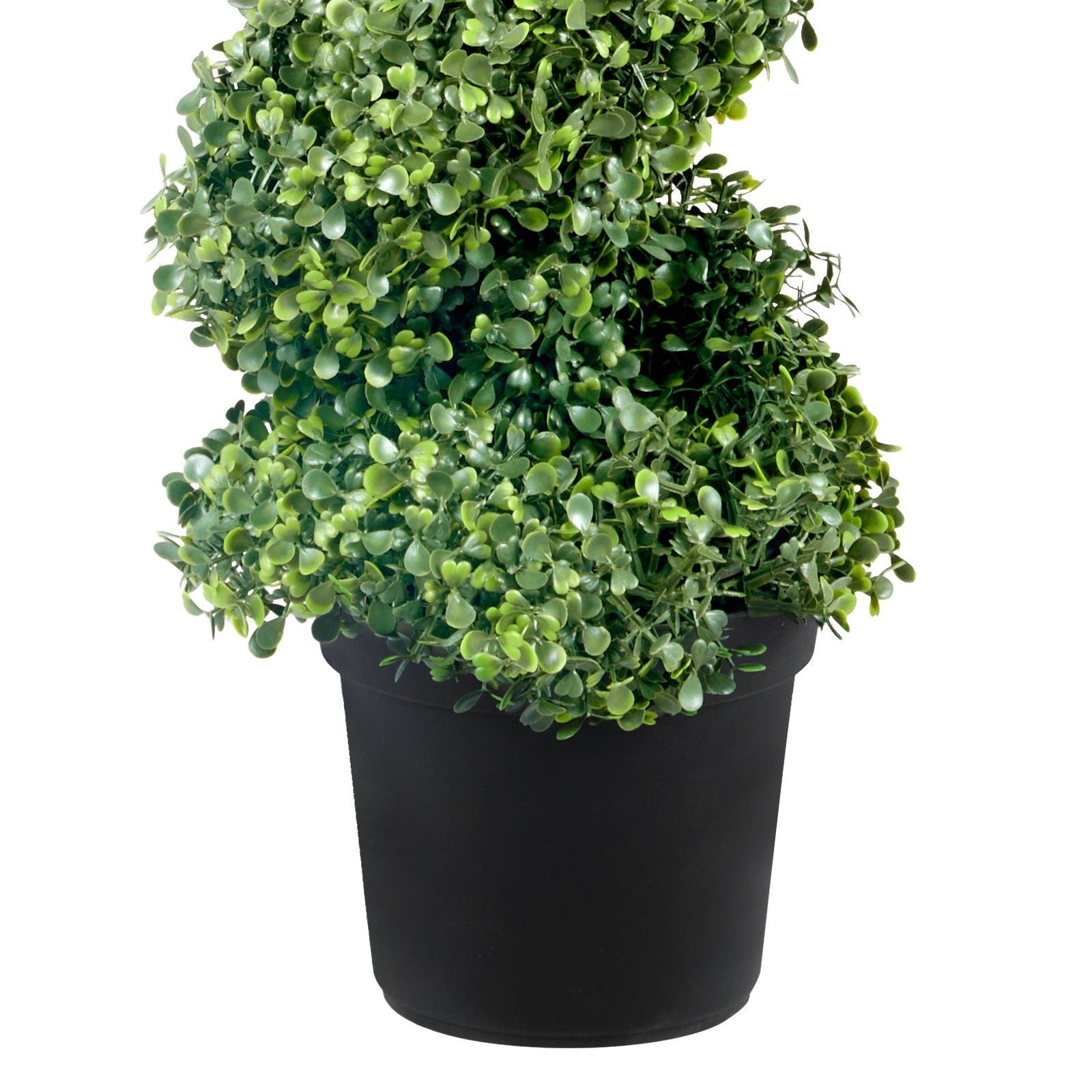 Decorative Spiral Boxwood Towers Close Up