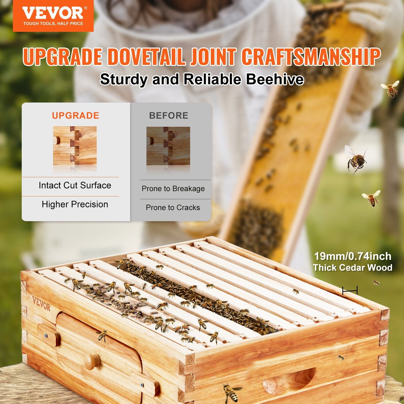 Transparent Window Beehive Kit Manufacturing Improvement