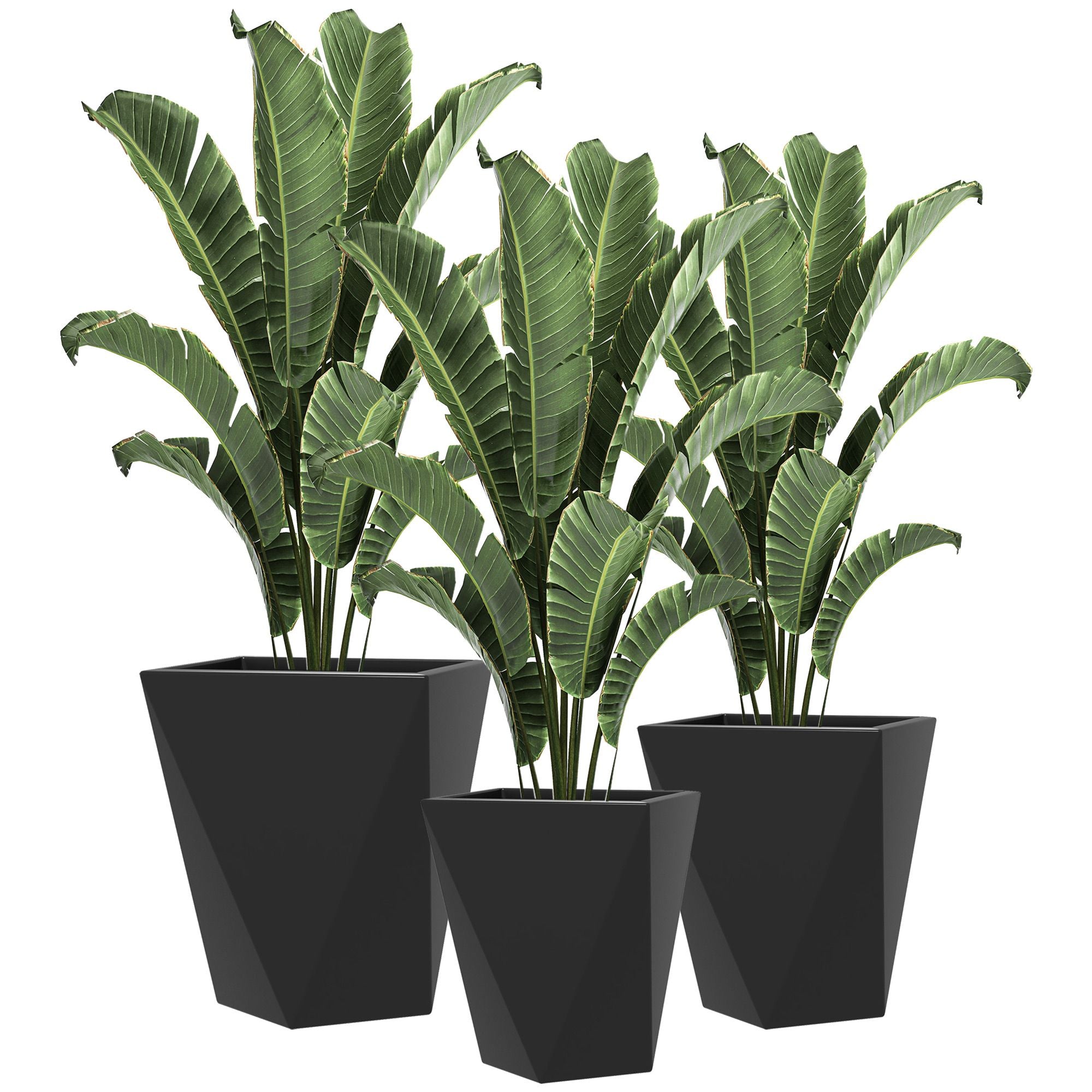 Modern Black Planters With Plants