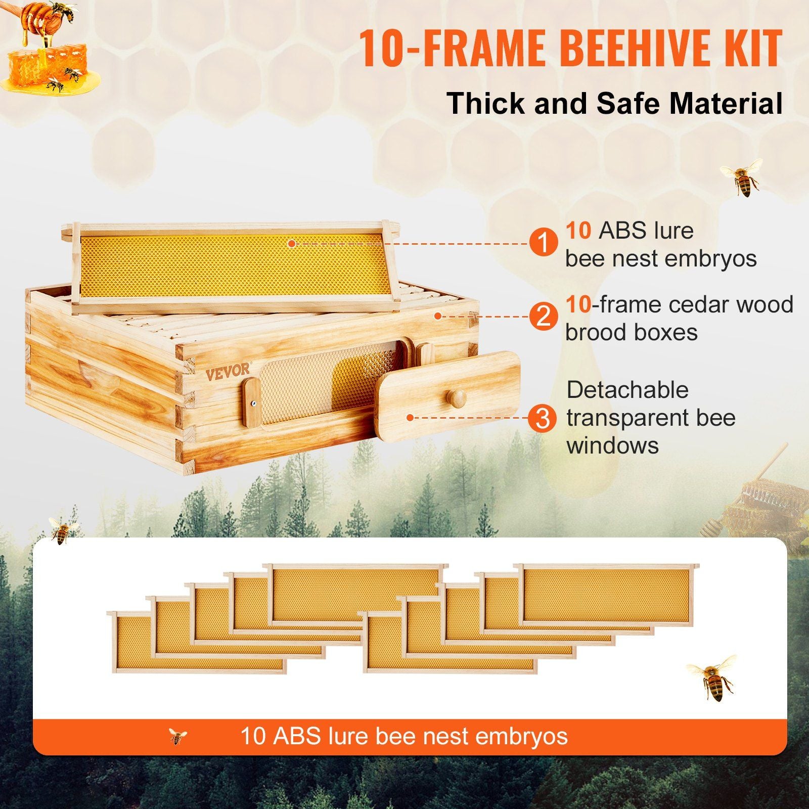 Transparent Window Beehive Kit Showing Parts of Hive