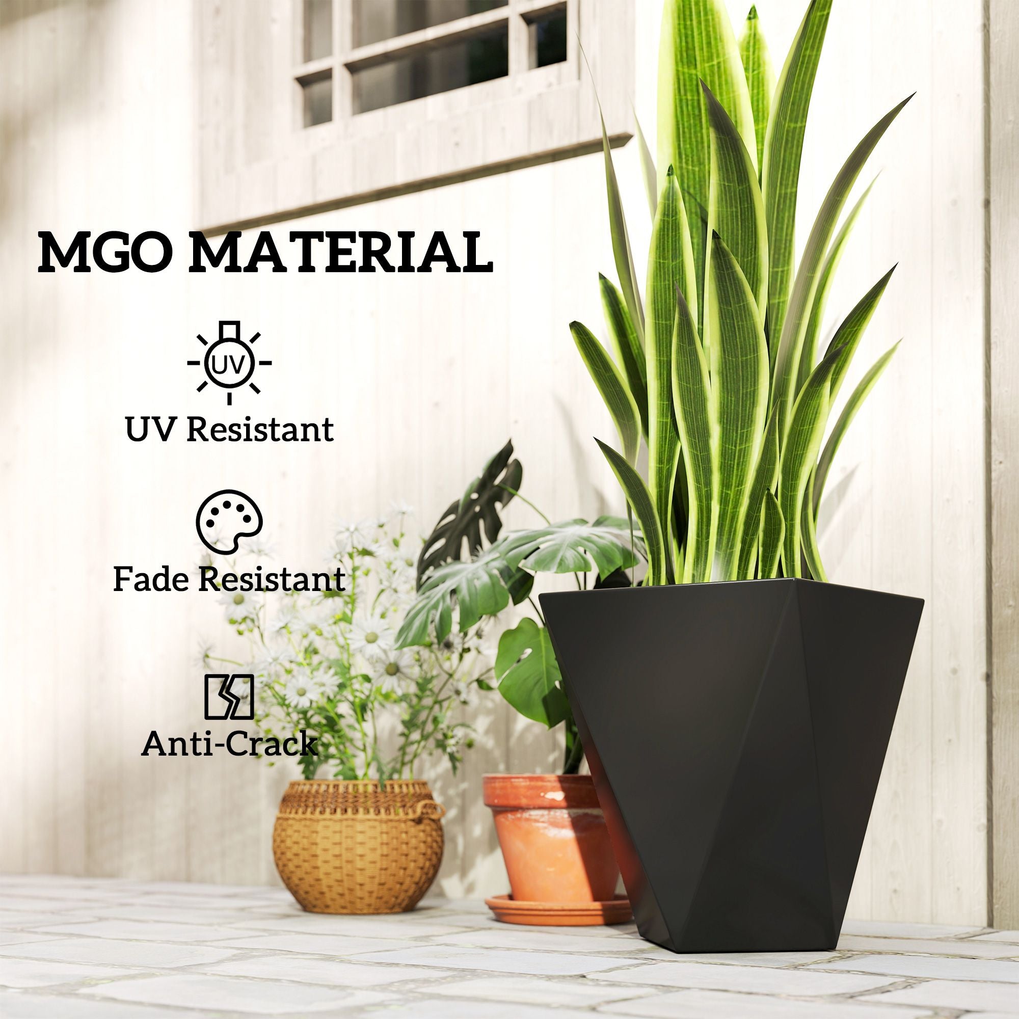 Modern Black Planters Benefits
