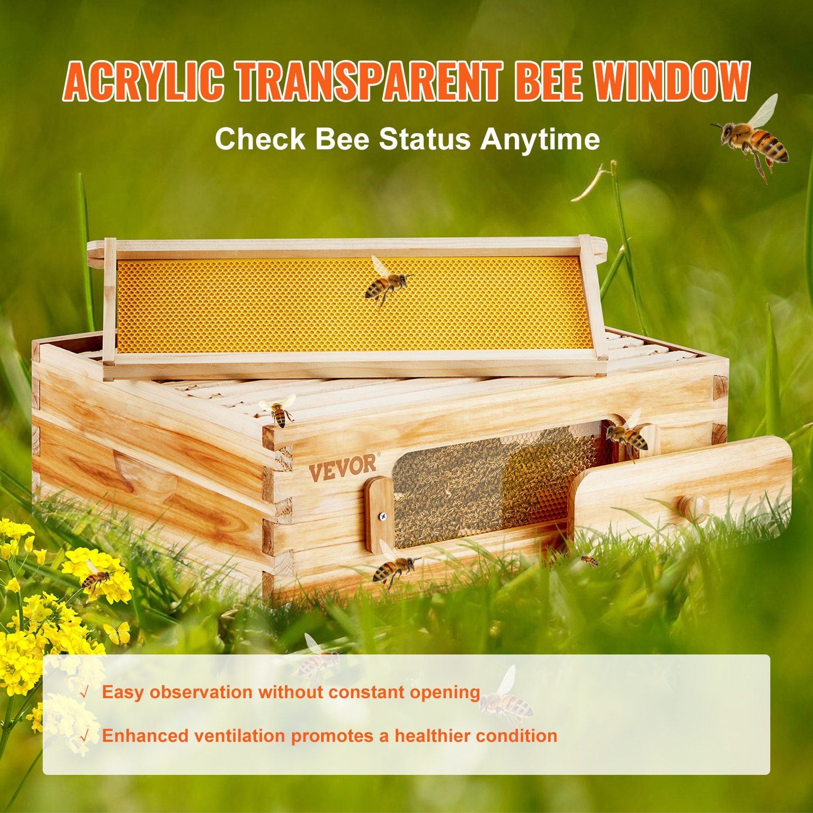 Transparent Window Beehive Kit  Transparent Window To Look In At the Hive