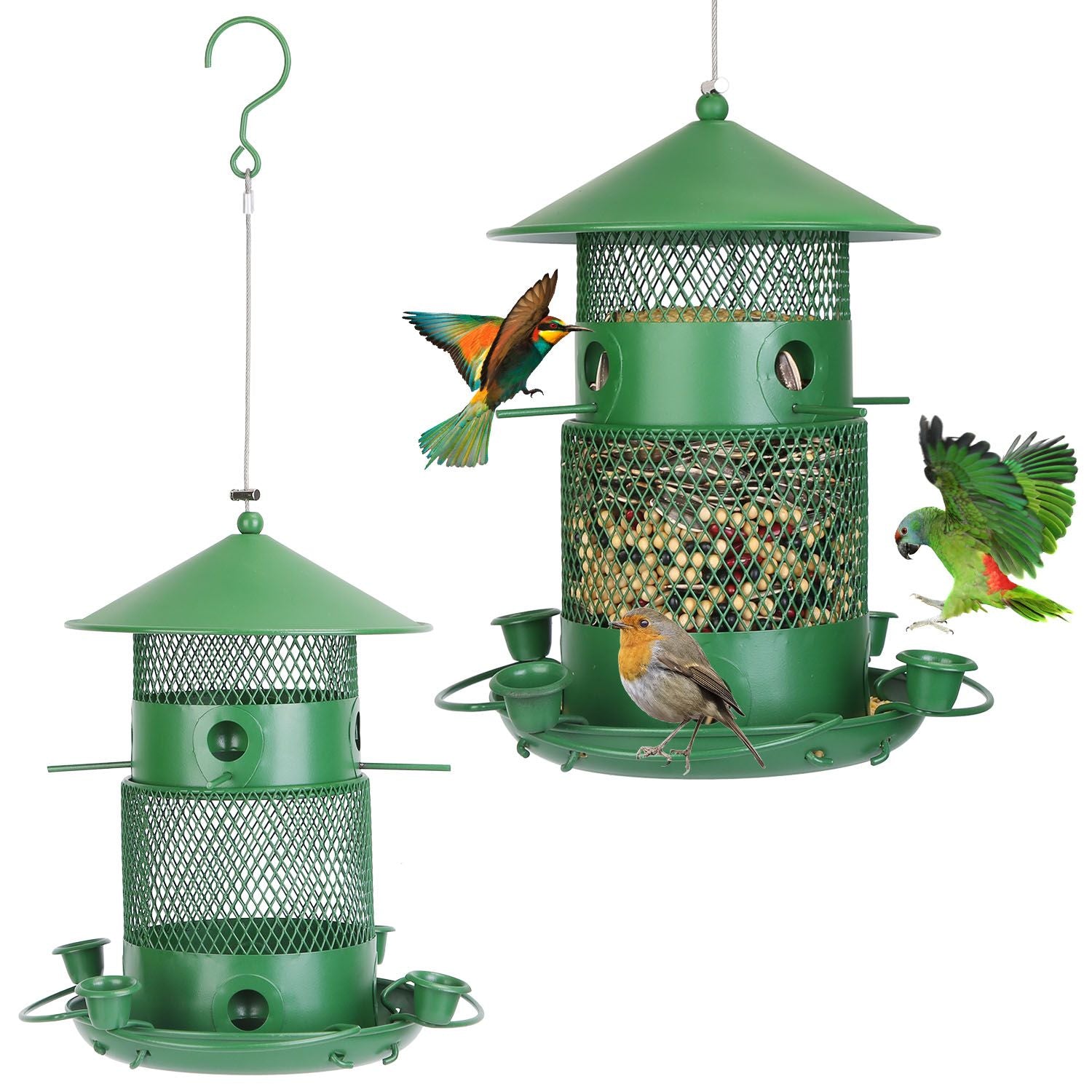 Wild Bird Seed Feeder with Water Cups and Perches Picture Empty and Filled with Bird seed with Birds