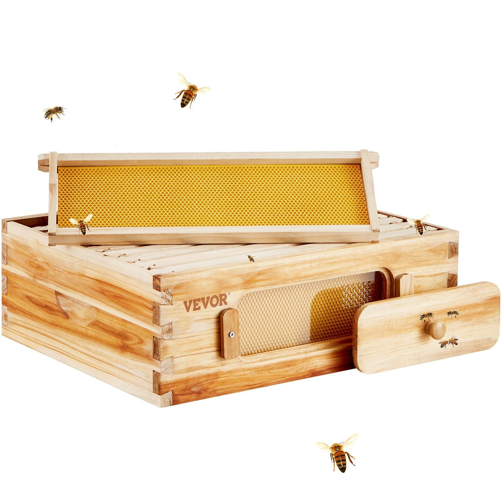 Transparent Window Beehive Kit 