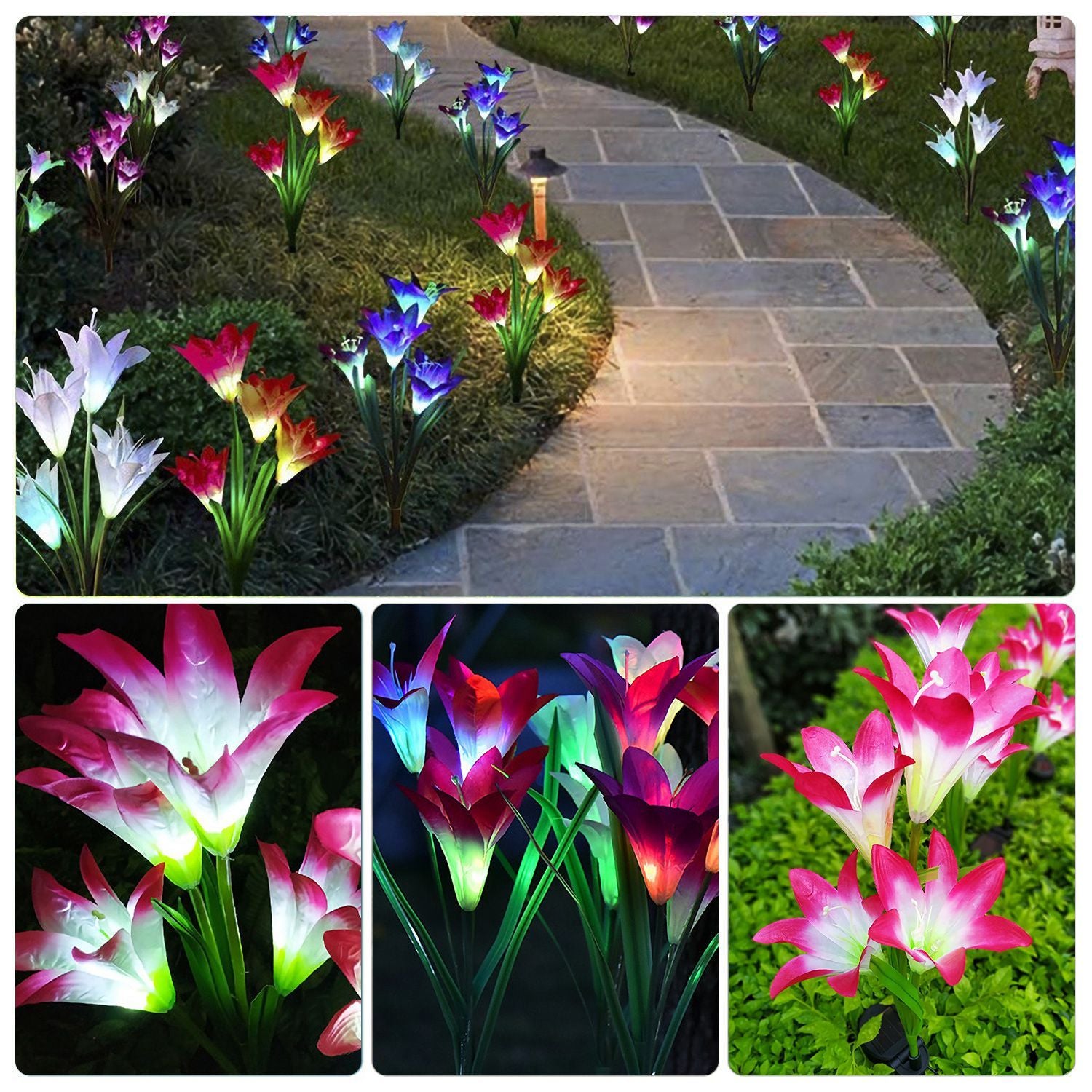 Solar Lily Garden Lights Lighting Up a Path
