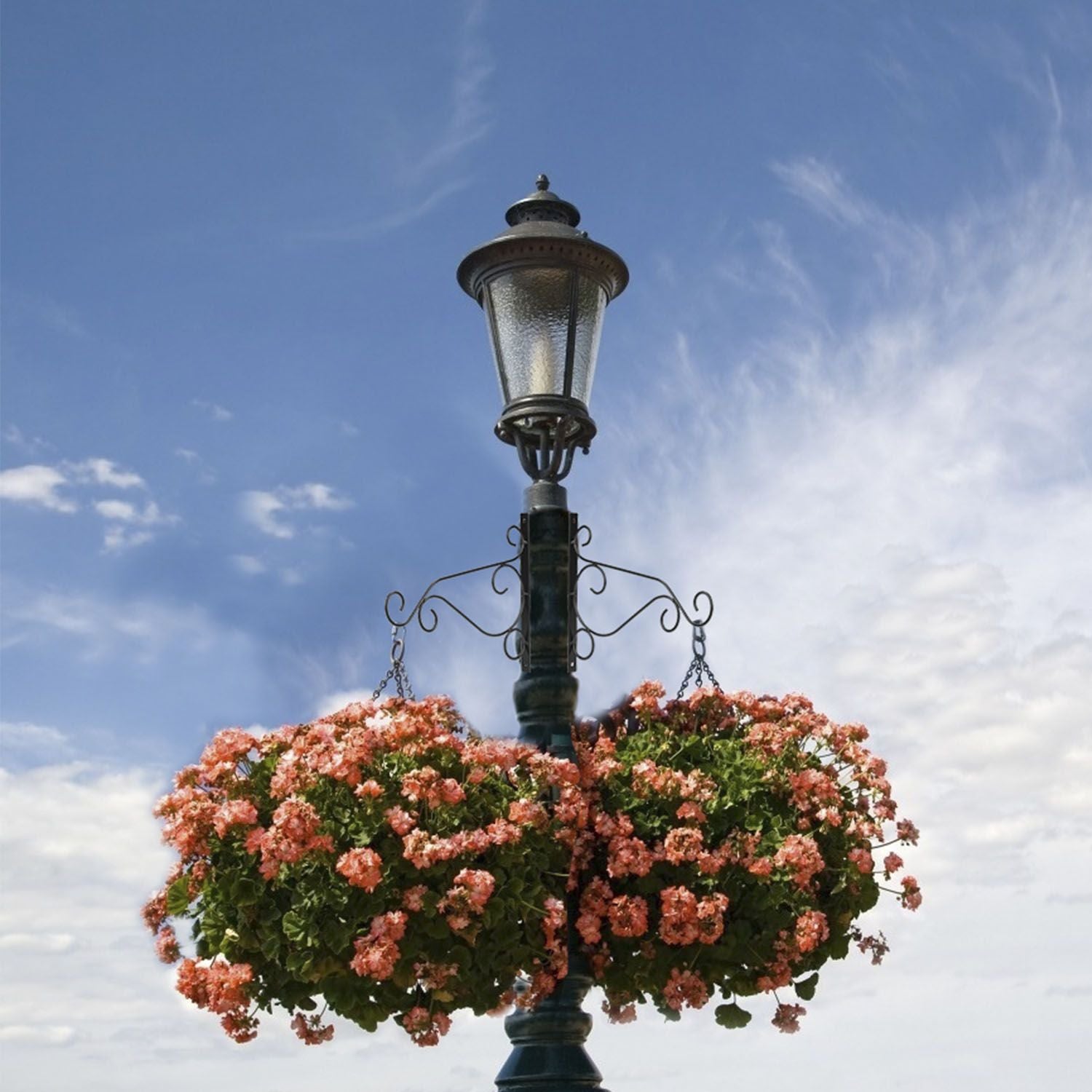 Sturdy Wall Hooks for Hanging Plants, Wind Chimes and Feeders 2pcs With Hanging Baskets of Flowers