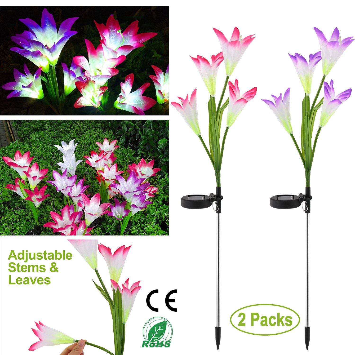 Solar Lily Garden Lights Colours and Features