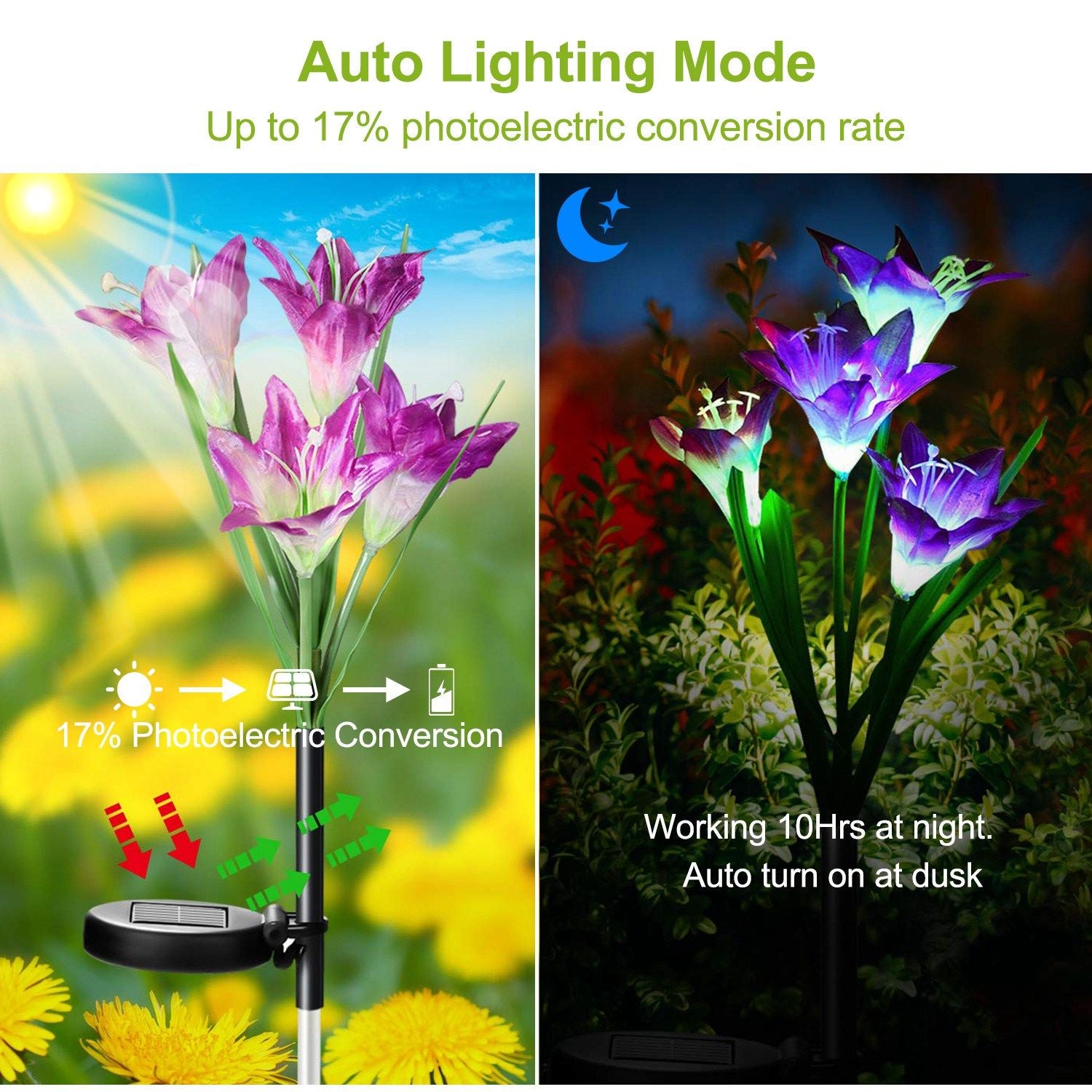 Solar Lily Garden Lights Solar Information