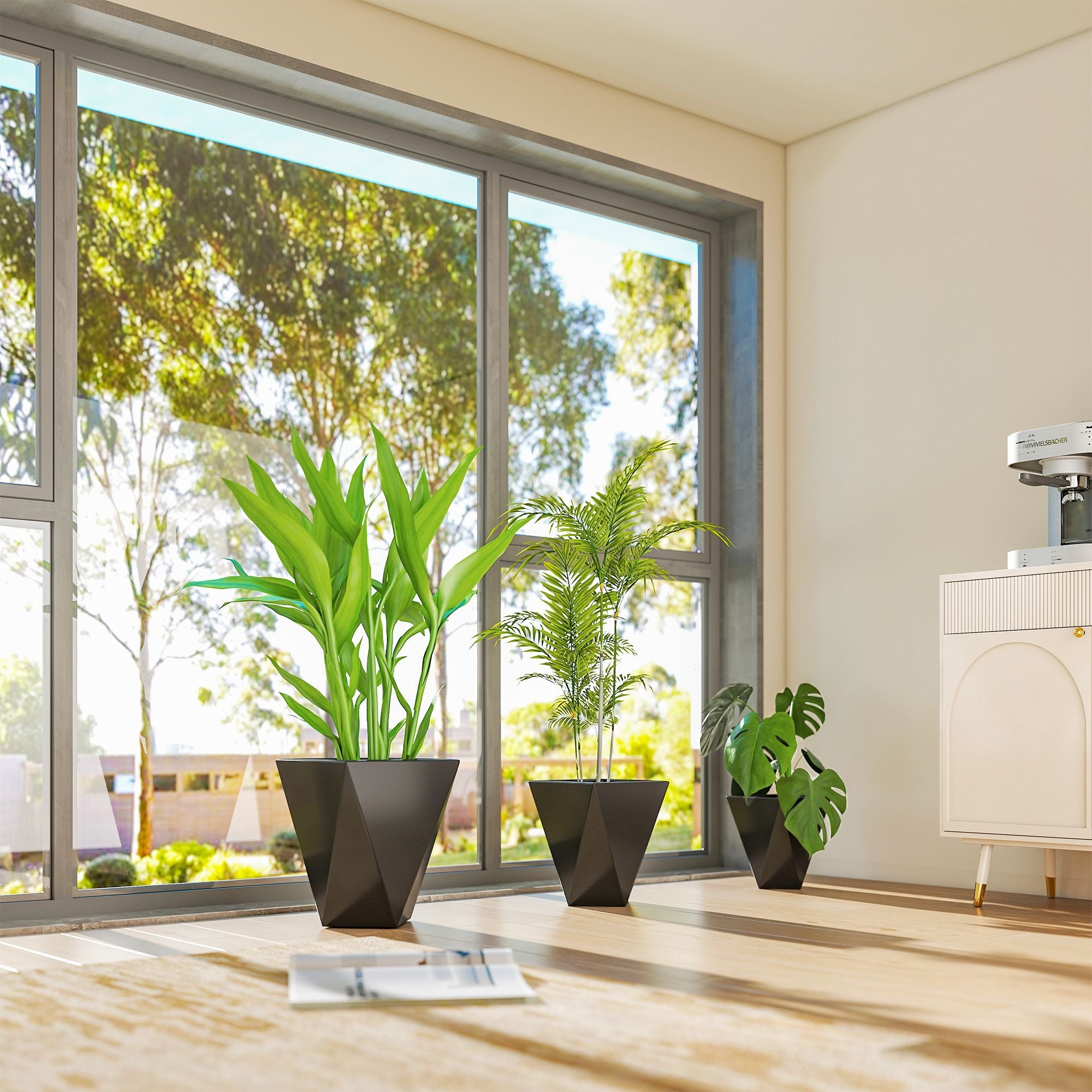 Modern Black Planters In A House