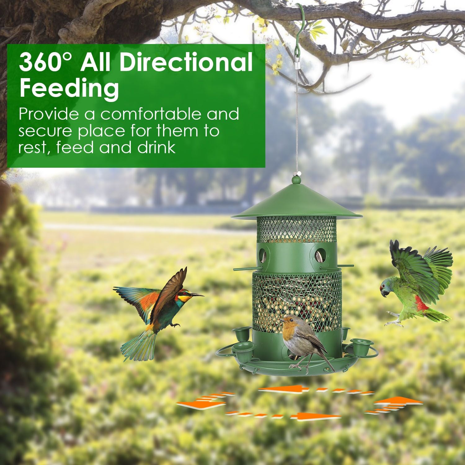 Wild Bird Seed Feeder with Water Cups and Perches Hanging From Tree