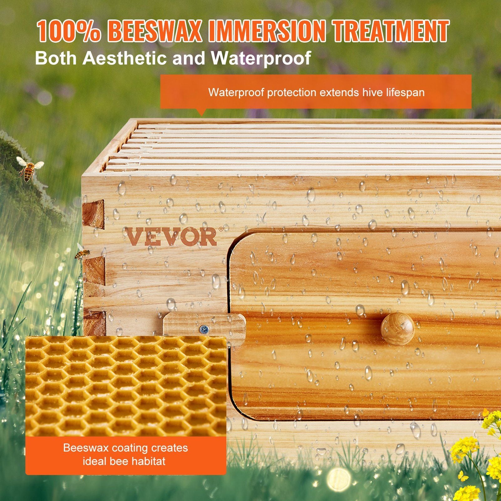 Transparent Window Beehive Kit Beeswax Coating