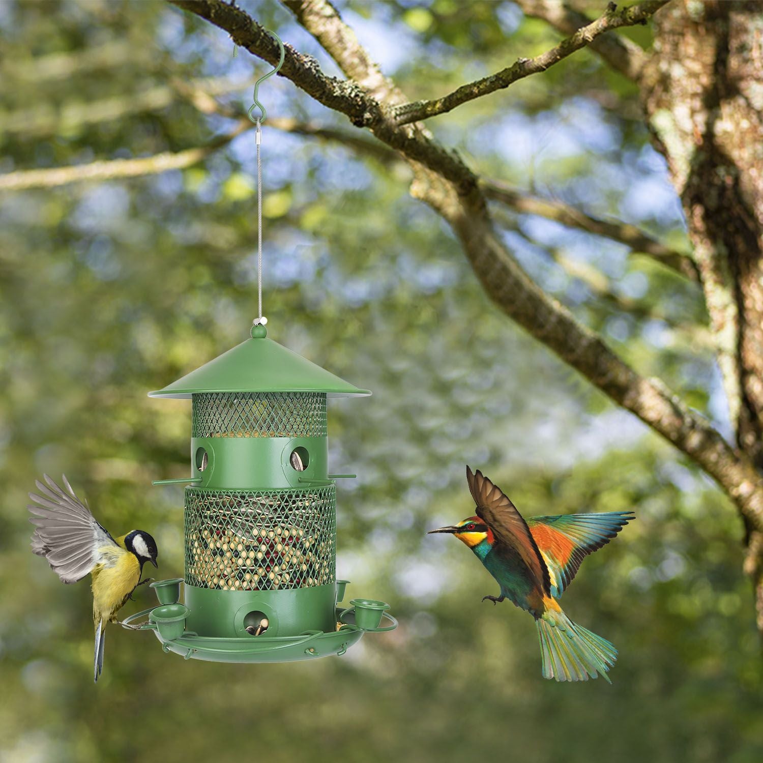 Wild Bird Seed Feeder with Water Cups and Perches Hanging On Tree