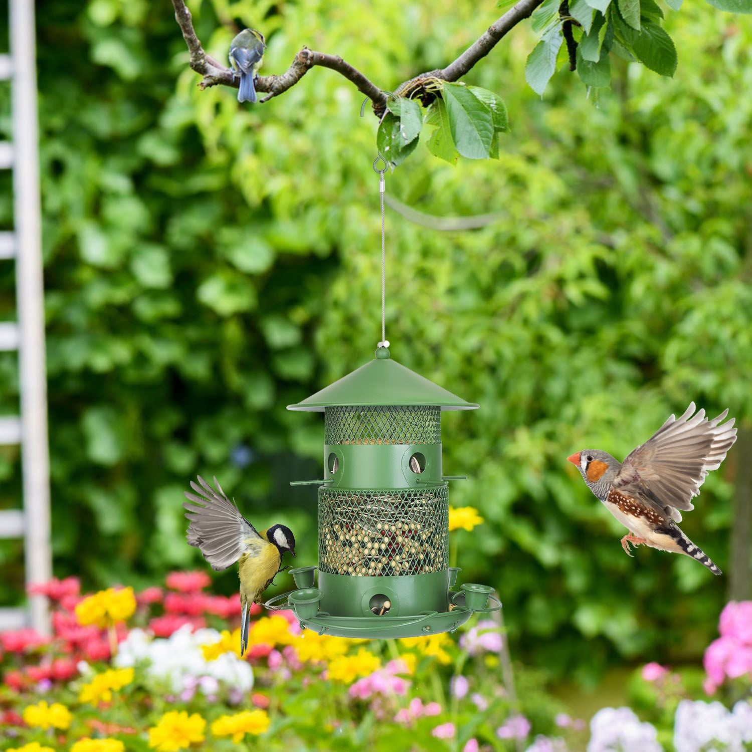 Wild Bird Seed Feeder with Water Cups and Perches Hanging On Tree with Birds