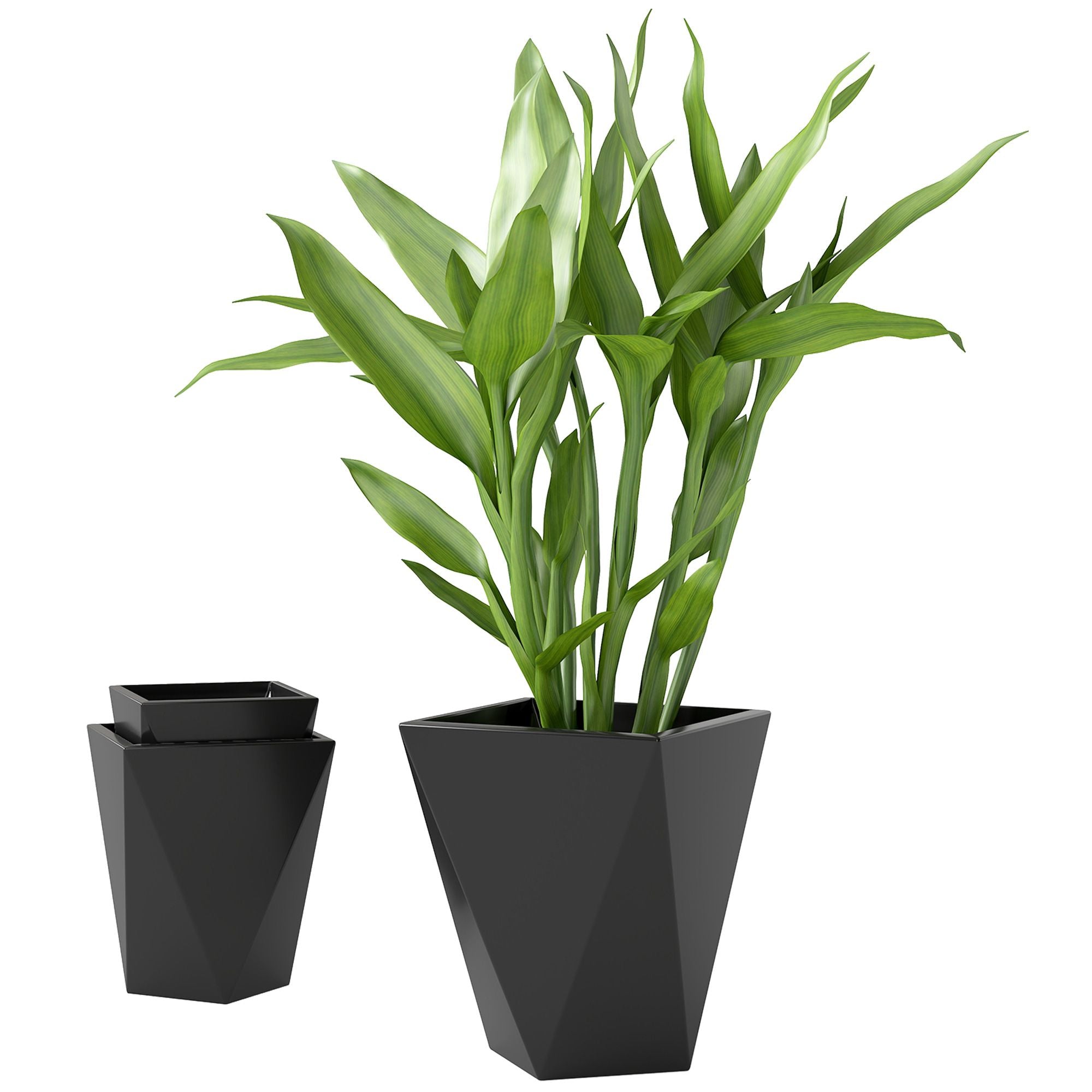 Modern Black Planters Plant In Largest Pot