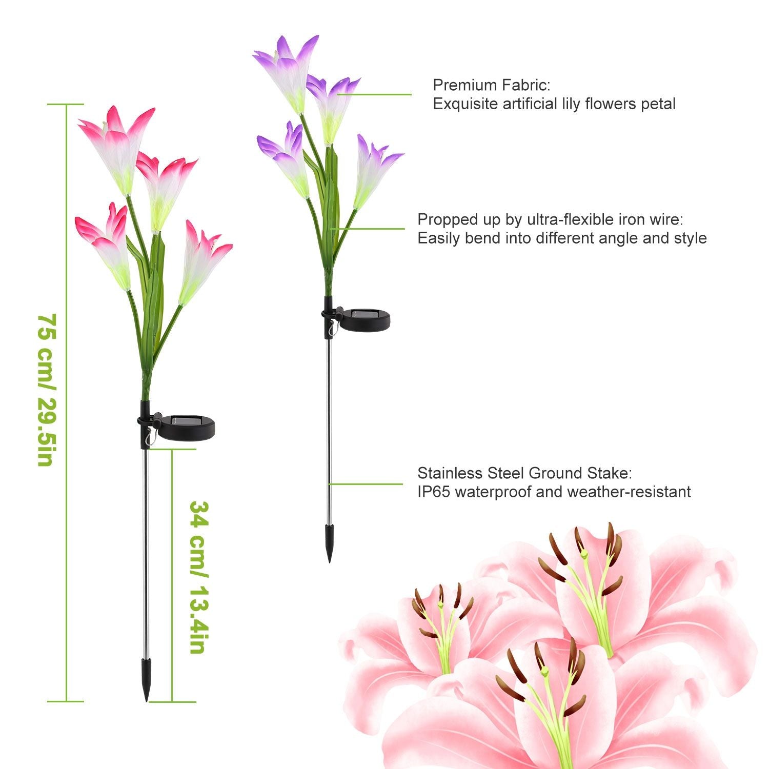 Solar Lily Garden Lights Dimensions and Features
