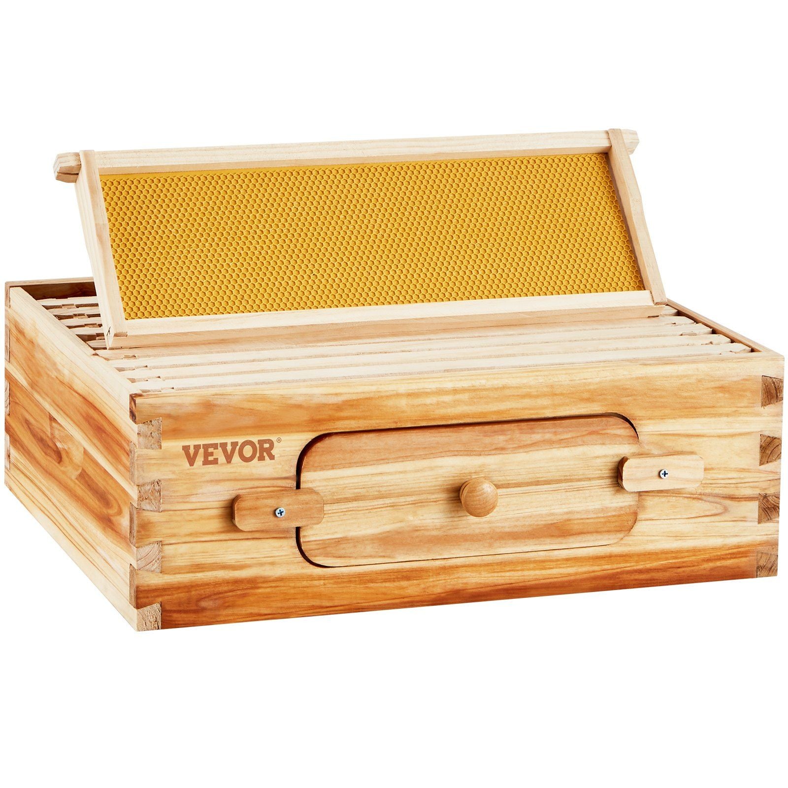Transparent Window Beehive Kit With Frame In View