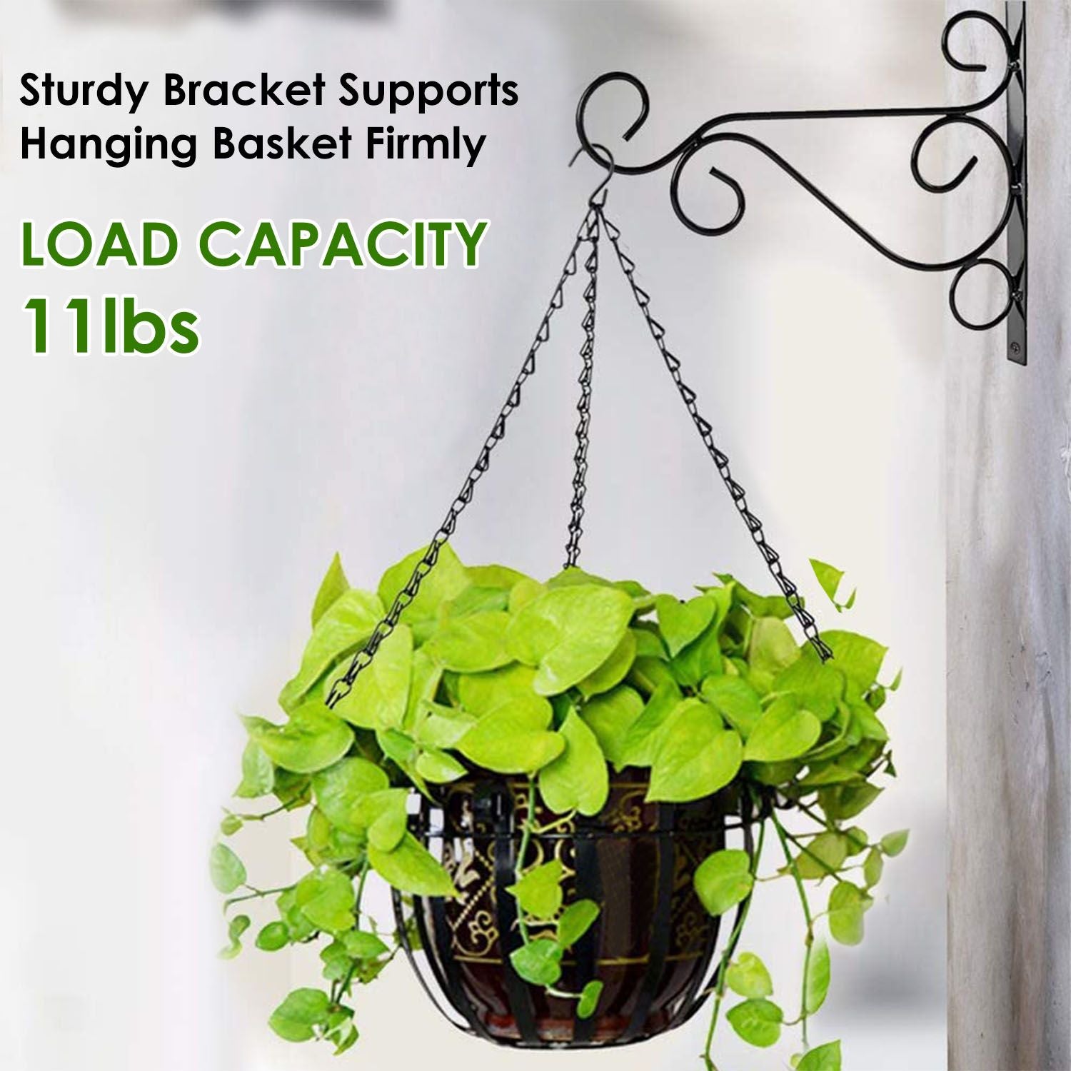 Sturdy Wall Hooks With a Basket and Flowers Hanging with Max Load Info